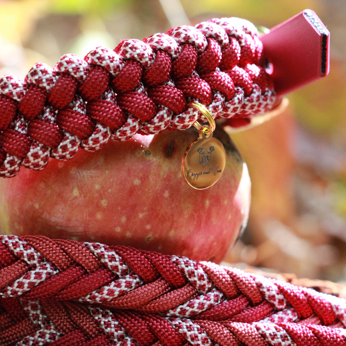 Set aus geflochtenem Halsband & Fishbone-Leine "Velvet Fall" personalisierbar