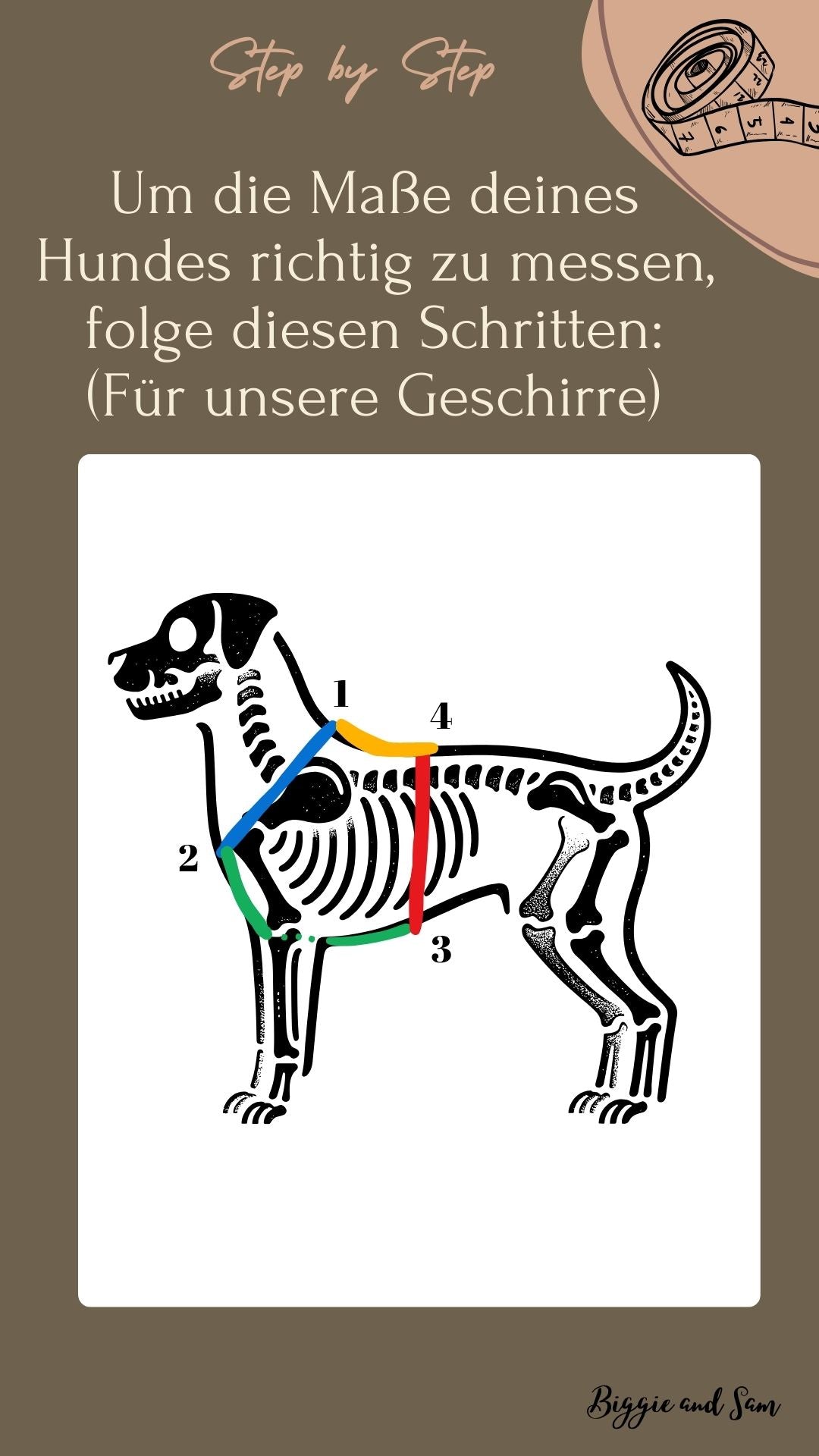 Hundegeschirr mit Blumen selbst gestalten