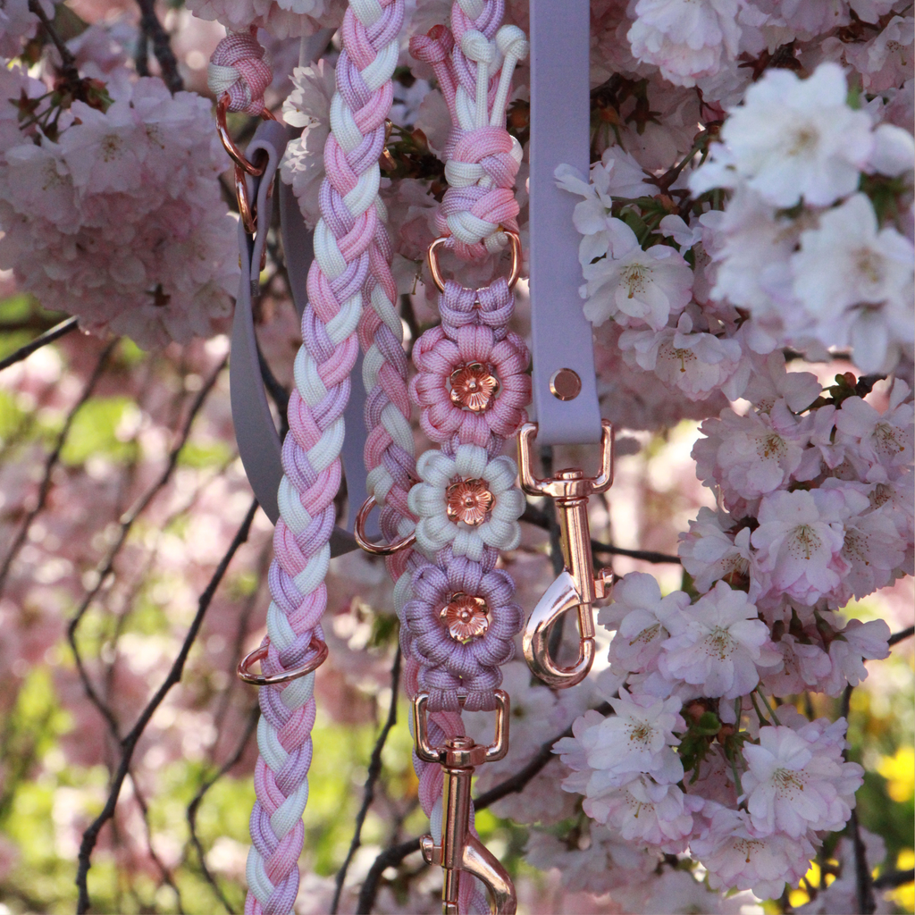 Hundeleine aus Paracord & Biothane selbst gestalten "Flower Mix"