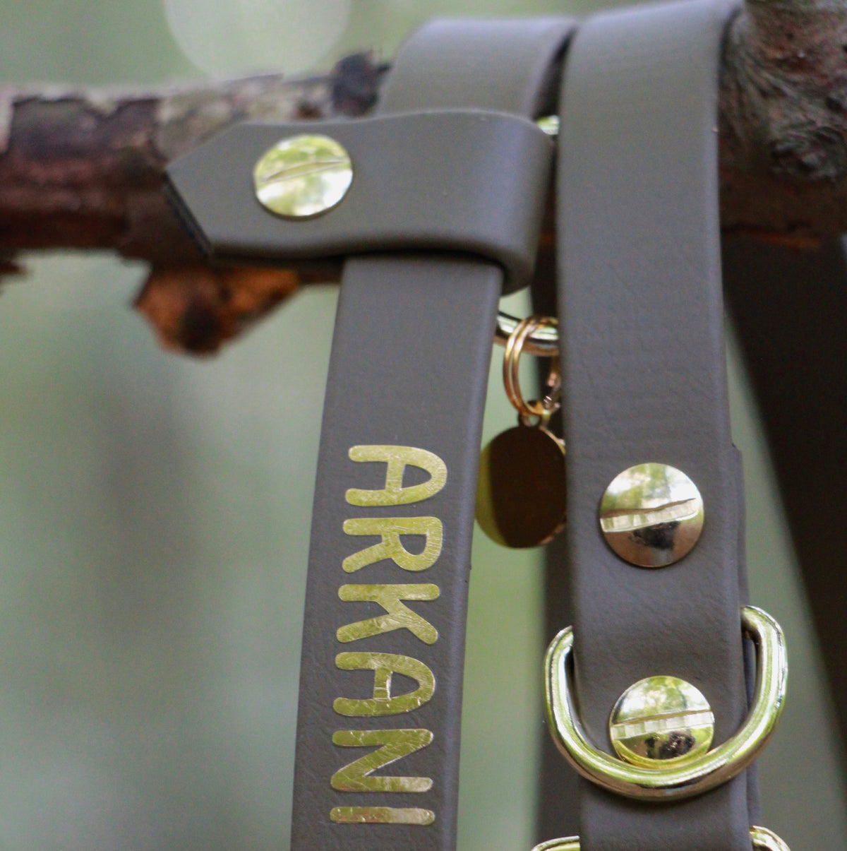 Set aus Halsband & Blumenleine "Forest Whispers" personalisierbar