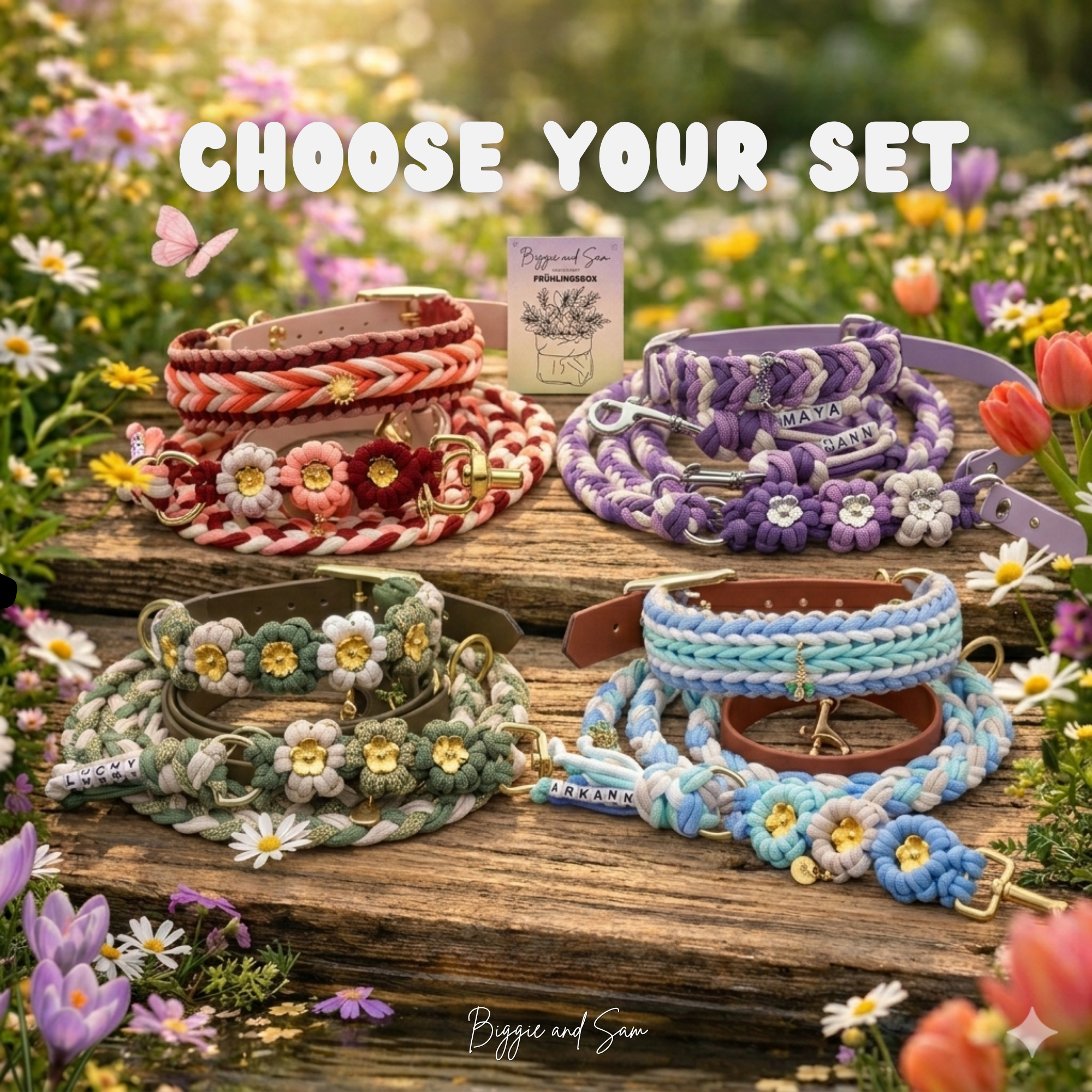 Frühlingsbox – Hunde-Set mit Halsband, Leine & Beschäftigung | Limited Edition