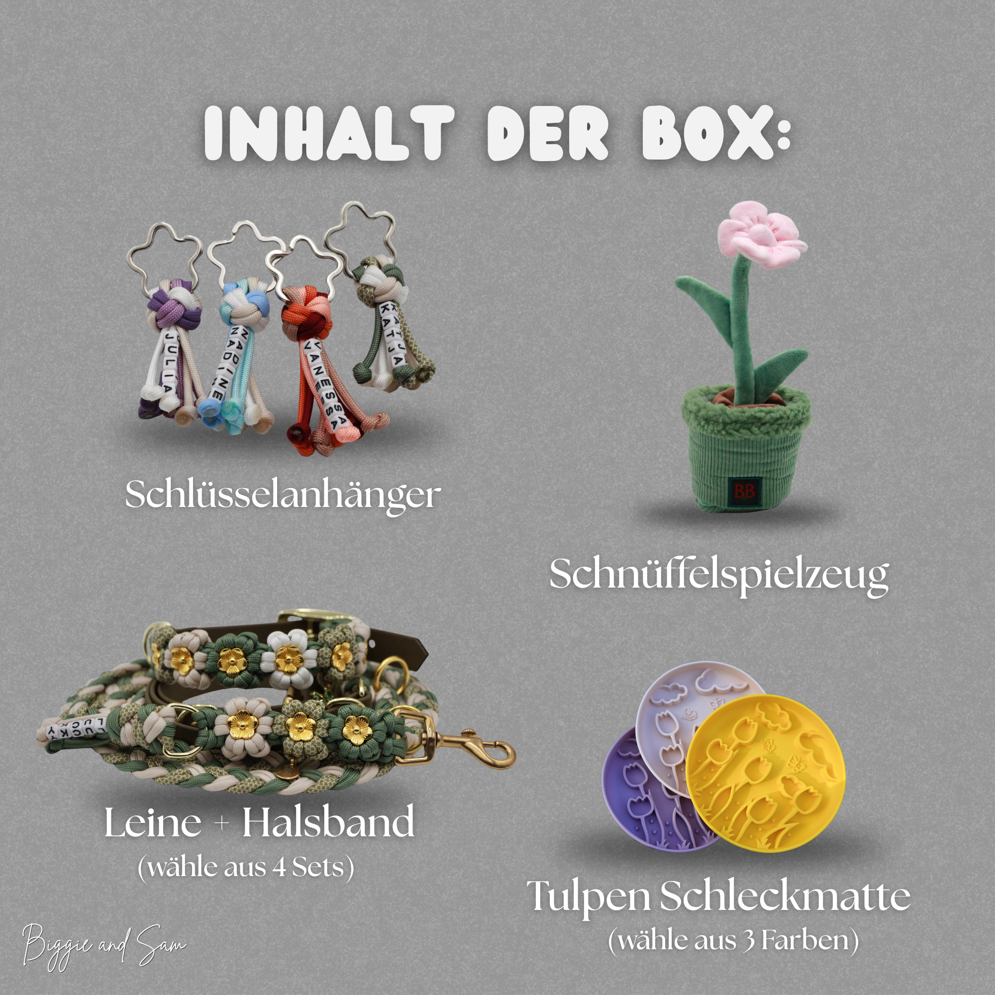 Frühlingsbox – Hunde-Set mit Halsband, Leine & Beschäftigung | Limited Edition