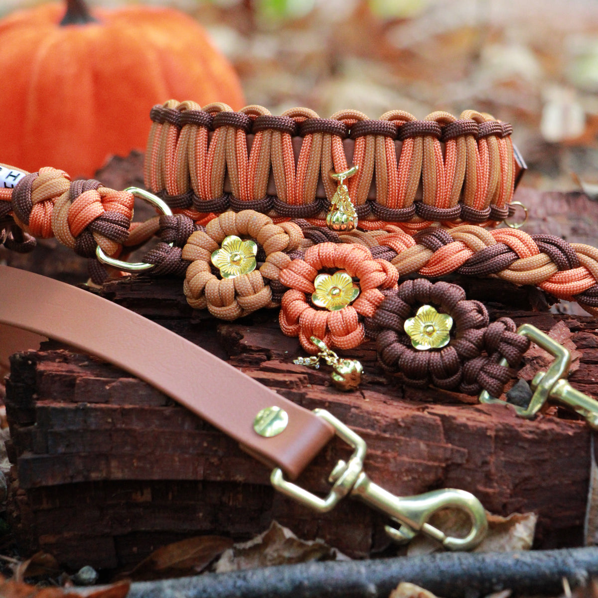 Set aus Halsband & Blumenleine "Pumpkin Patch" personalisierbar