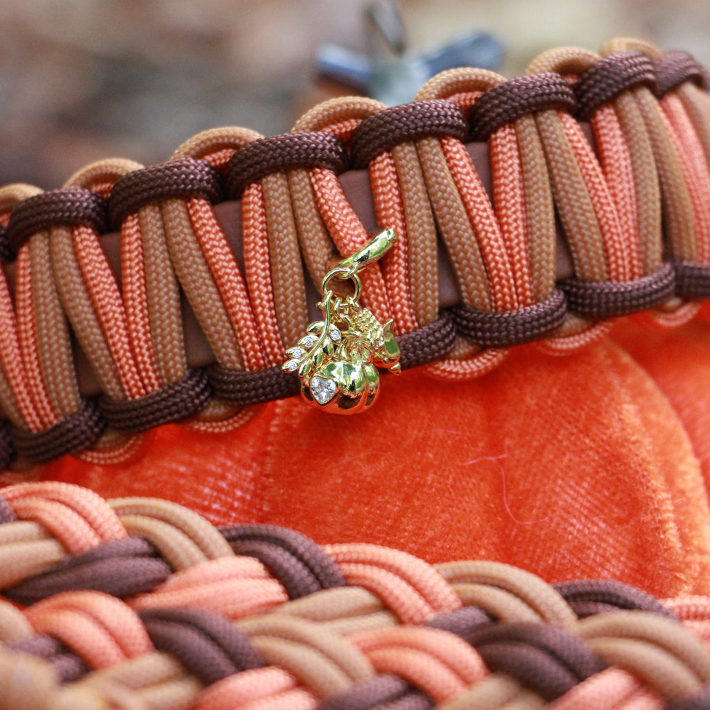 Set aus Halsband & Blumenleine "Pumpkin Patch" personalisierbar