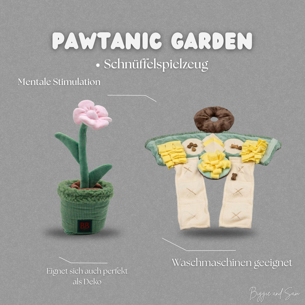 Frühlingsbox – Hunde-Set mit Halsband, Leine & Beschäftigung | Limited Edition