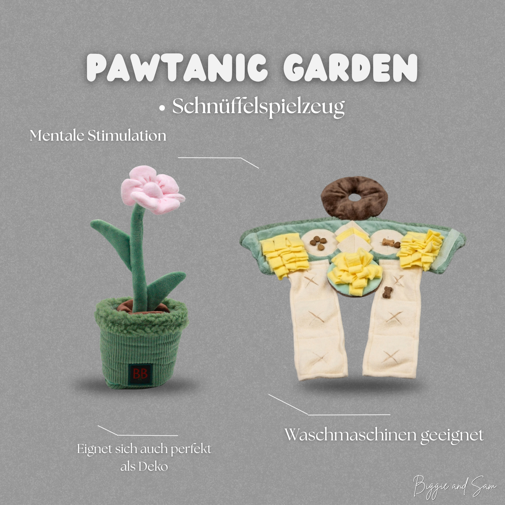 Pawtanic Garden Blomst – Schnüffelteppich als Topfpflanze