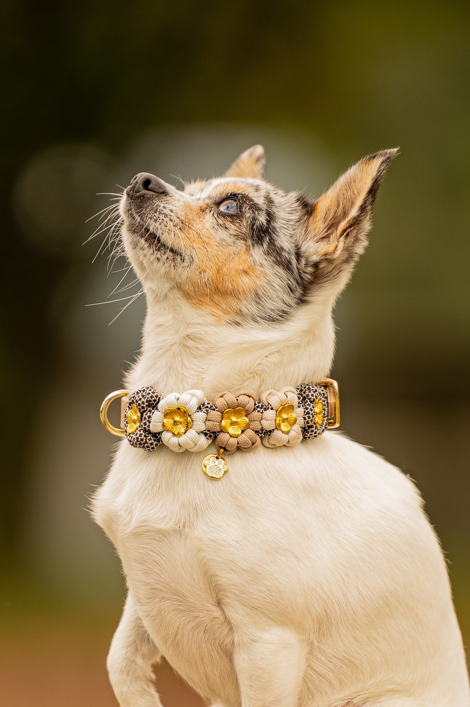 Blumen Halsband aus Paracord "Flower" selbst gestalten