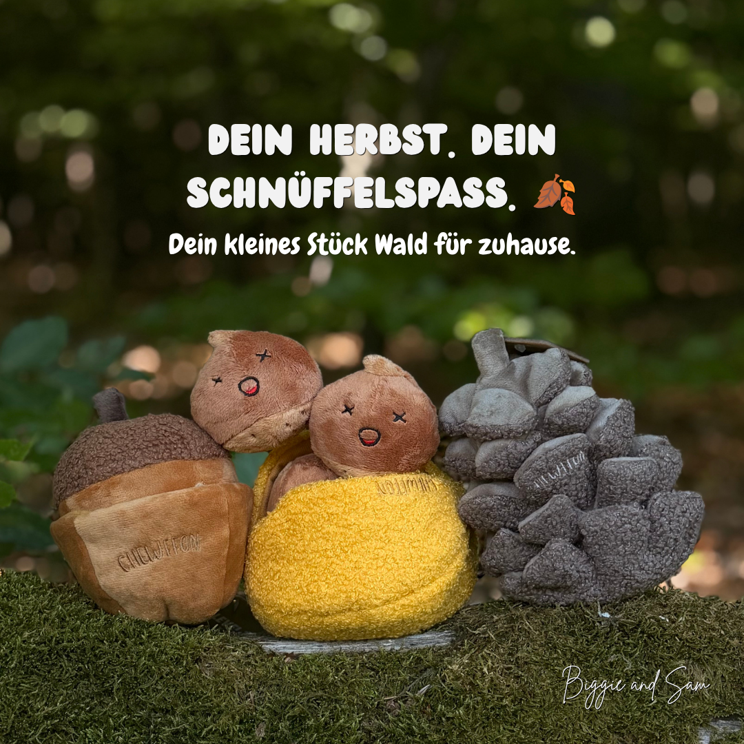 Chewffon Schnüffelspielzeug Marone