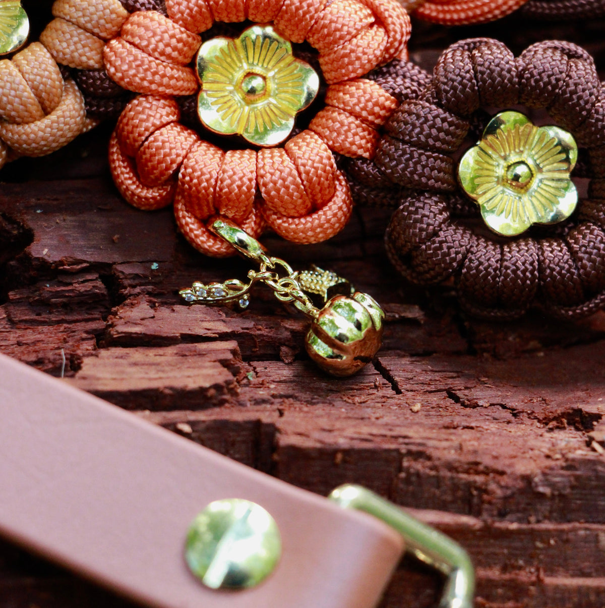 Set aus Halsband & Blumenleine "Pumpkin Patch" personalisierbar