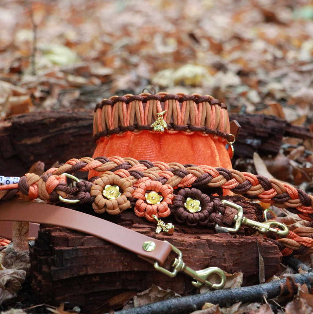 Set aus Halsband & Blumenleine "Pumpkin Patch" personalisierbar