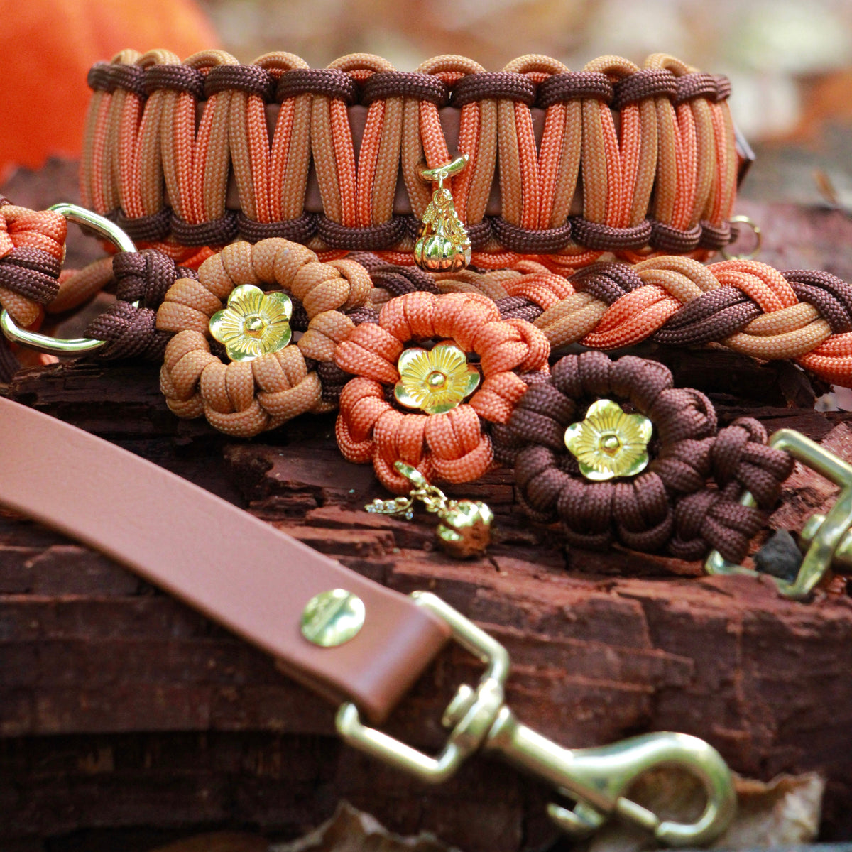 Set aus Halsband & Blumenleine "Pumpkin Patch" personalisierbar
