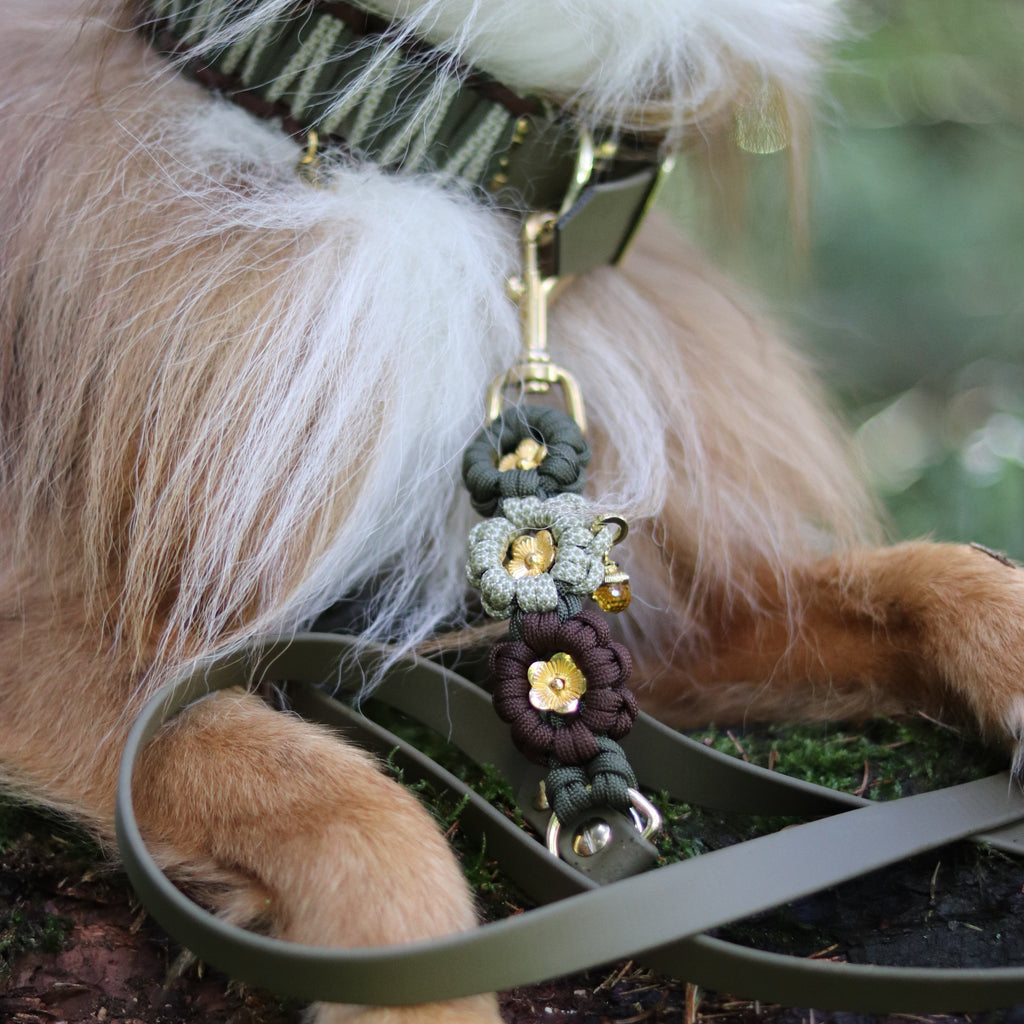 Set aus Halsband & Blumenleine "Forest Whispers" personalisierbar