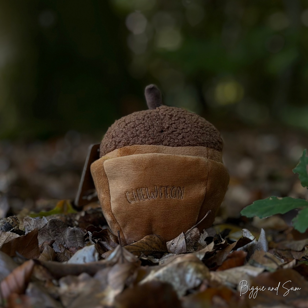 Chewffon Schnüffelspielzeug Eichel