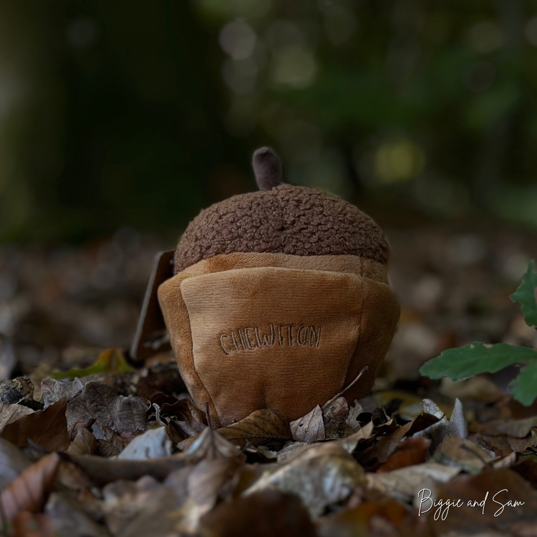 Chewffon Schnüffelspielzeug Eichel