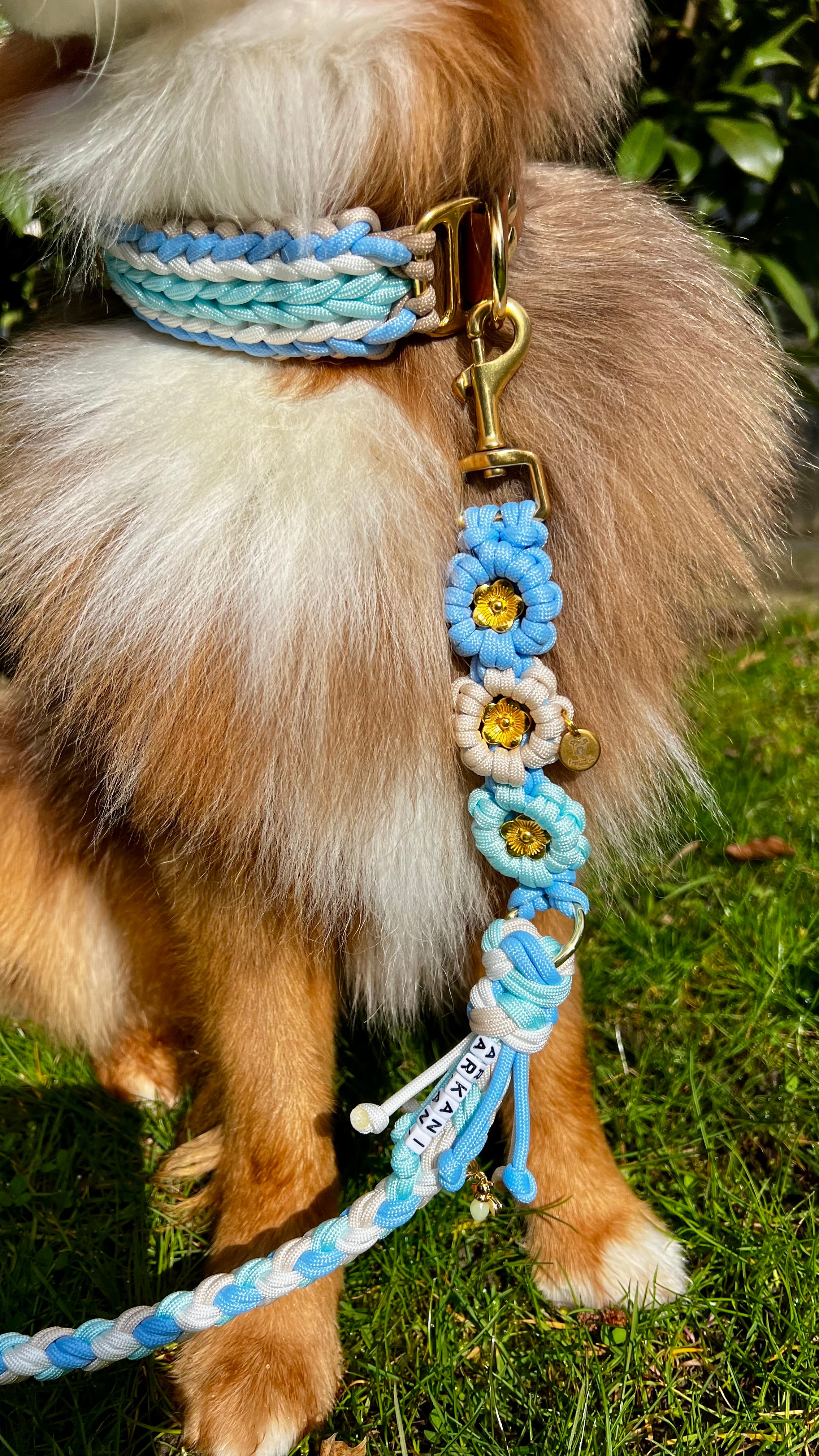 Set aus geflochtenem Halsband & Blumenleine "Polar Breeze" personalisierbar