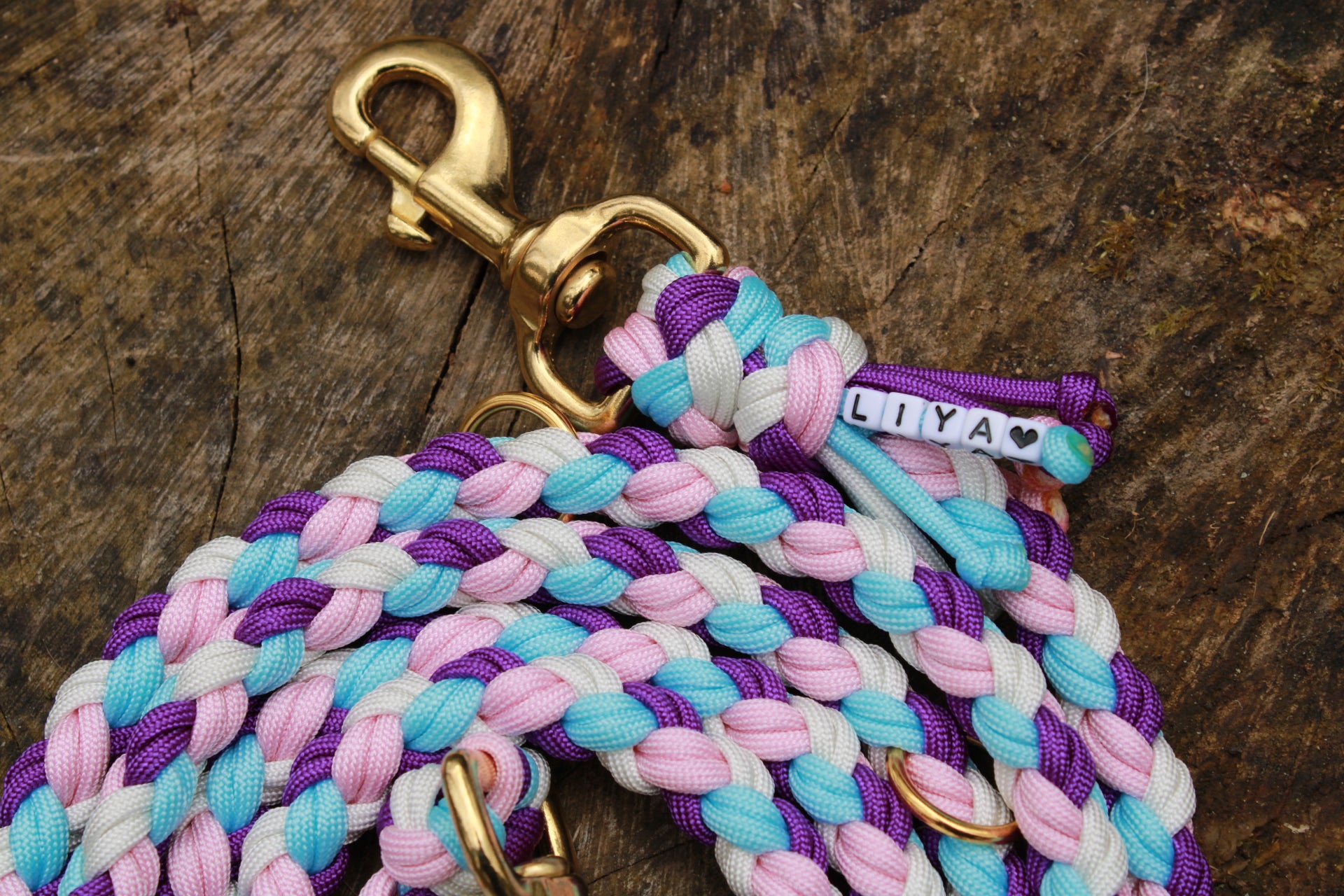 Hundeleine aus Paracord selbst gestalten