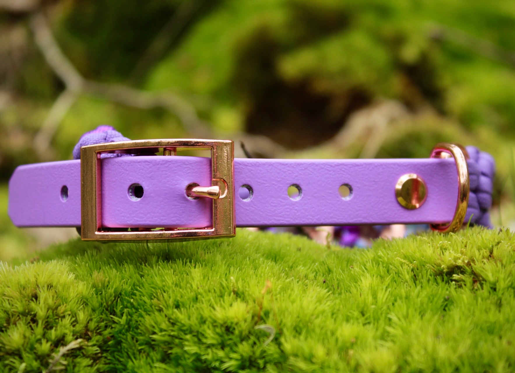 SOFORTKAUF Flower Set "Very berry" aus Paracord und Biothane®