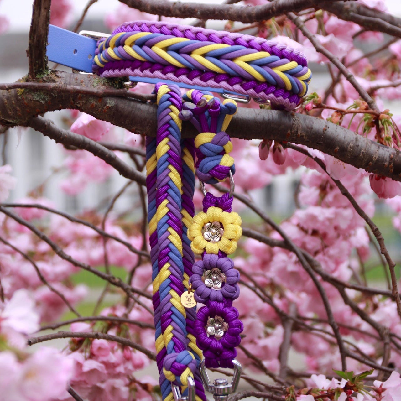 SOFORTKAUF Set "Lavendel Field" aus Paracord und Biothane®