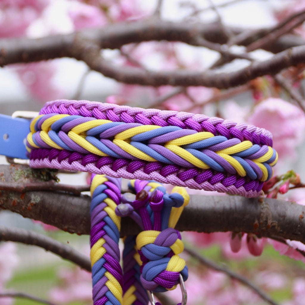 SOFORTKAUF Set "Lavendel Field" aus Paracord und Biothane®