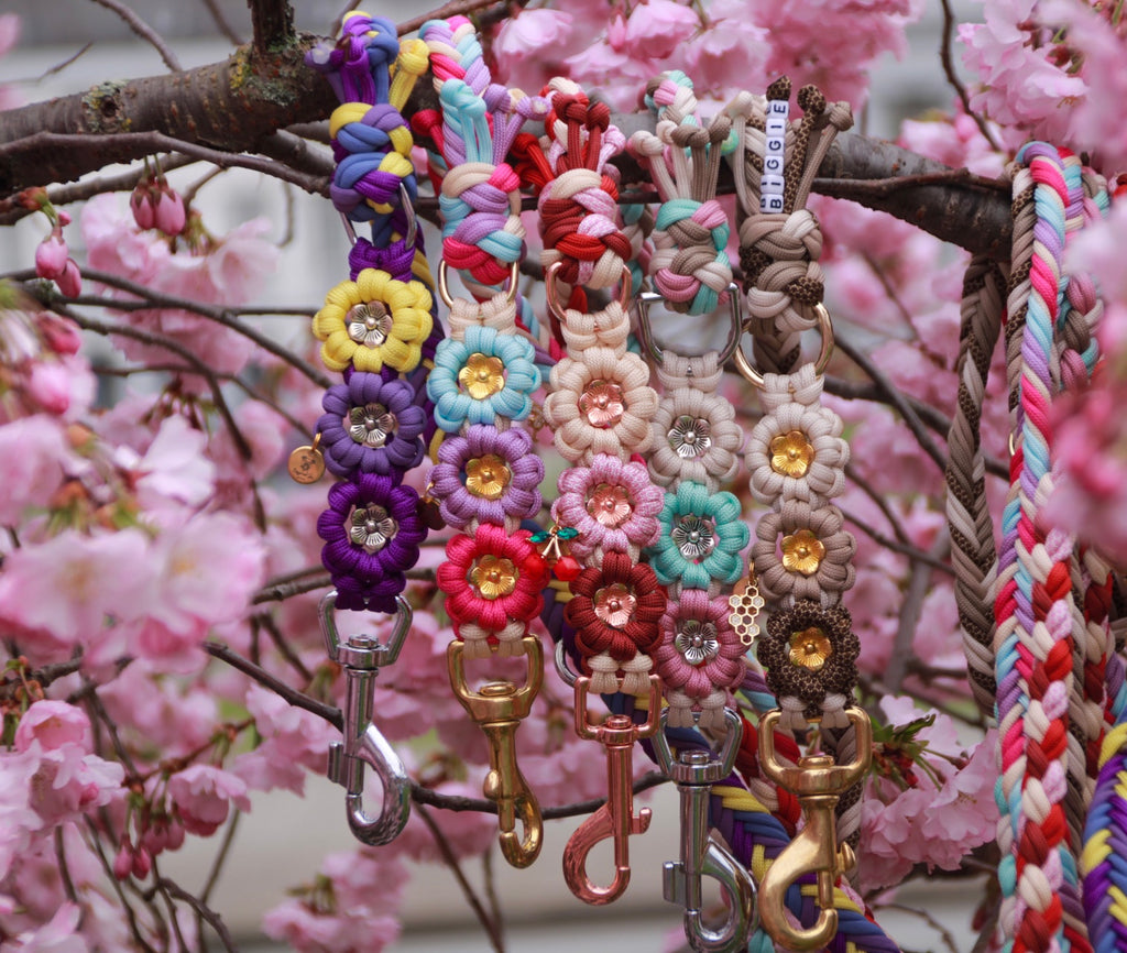 Hundeleine aus Paracord mit Blumen "Flowercord" selbst gestalten