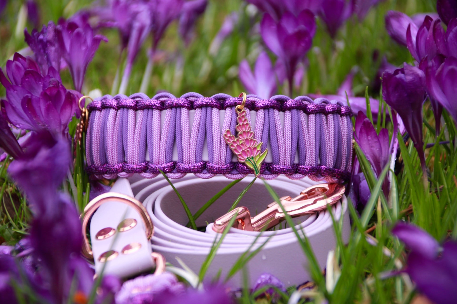 Hundehalsband aus Paracord und Biothane selbst gestalten