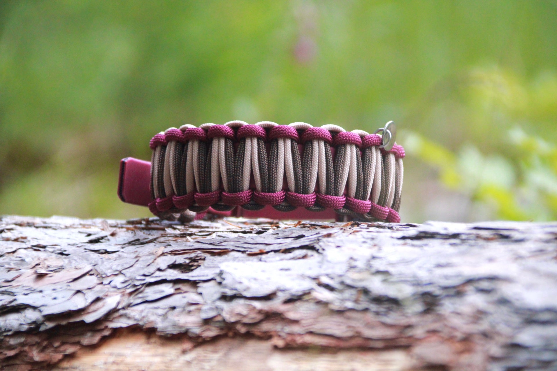 Hundehalsband aus Paracord und Biothane selbst gestalten