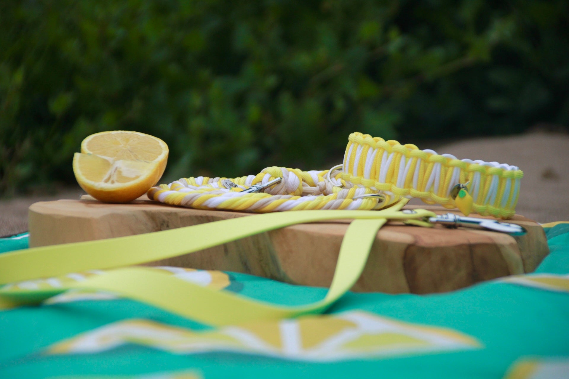 SOFORTKAUF Set "Butter Lemon" aus Paracord und Biothane®