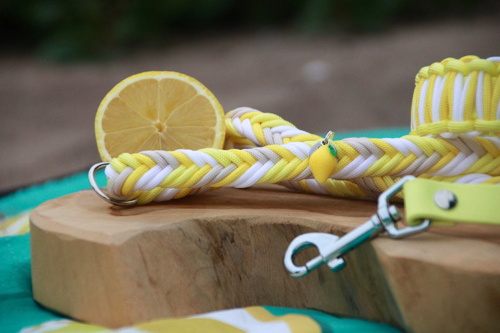 SOFORTKAUF Set "Butter Lemon" aus Paracord und Biothane®