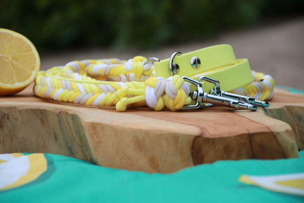 Hundeleine aus Paracord "Fishbone" selbst gestalten