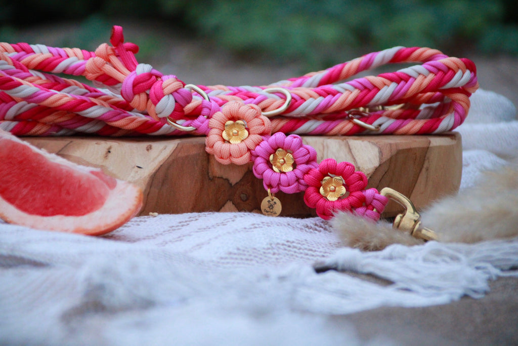 Hundeleine aus Paracord mit Blumen "Flowercord" selbst gestalten