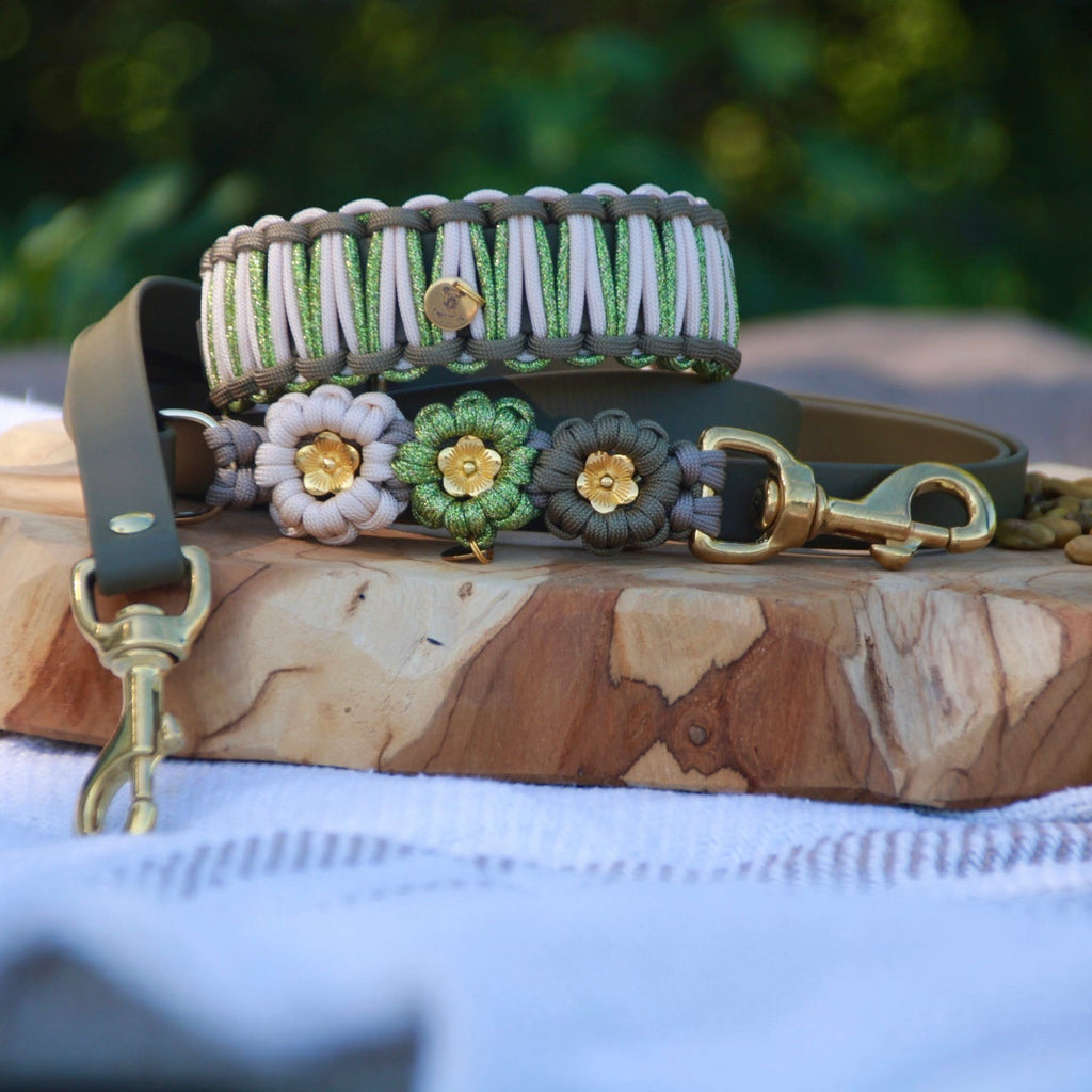 SOFORTKAUF Set "Pistachio picnic" aus Paracord und Biothane®