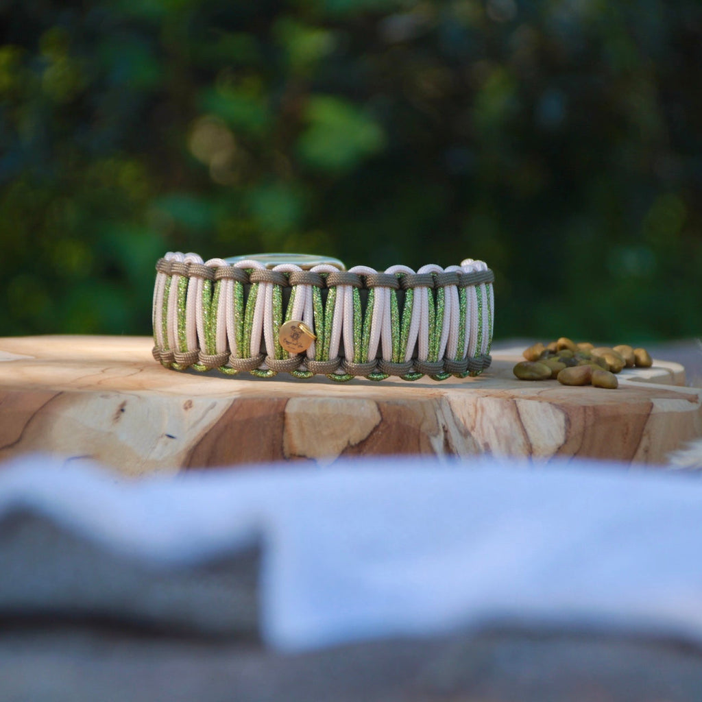 SOFORTKAUF Set "Pistachio picnic" aus Paracord und Biothane®