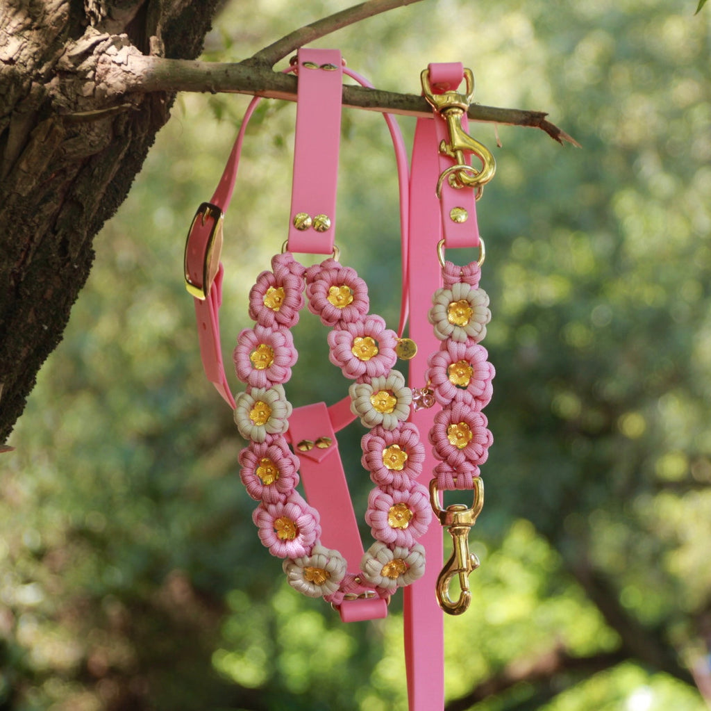 SOFORTKAUF Flower Geschirr "Cherry blossom" aus Paracord und Biothane®