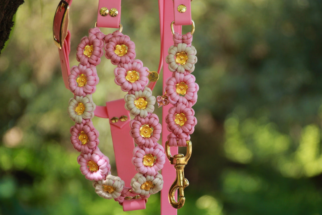 SOFORTKAUF Flower Geschirr "Cherry blossom" aus Paracord und Biothane®