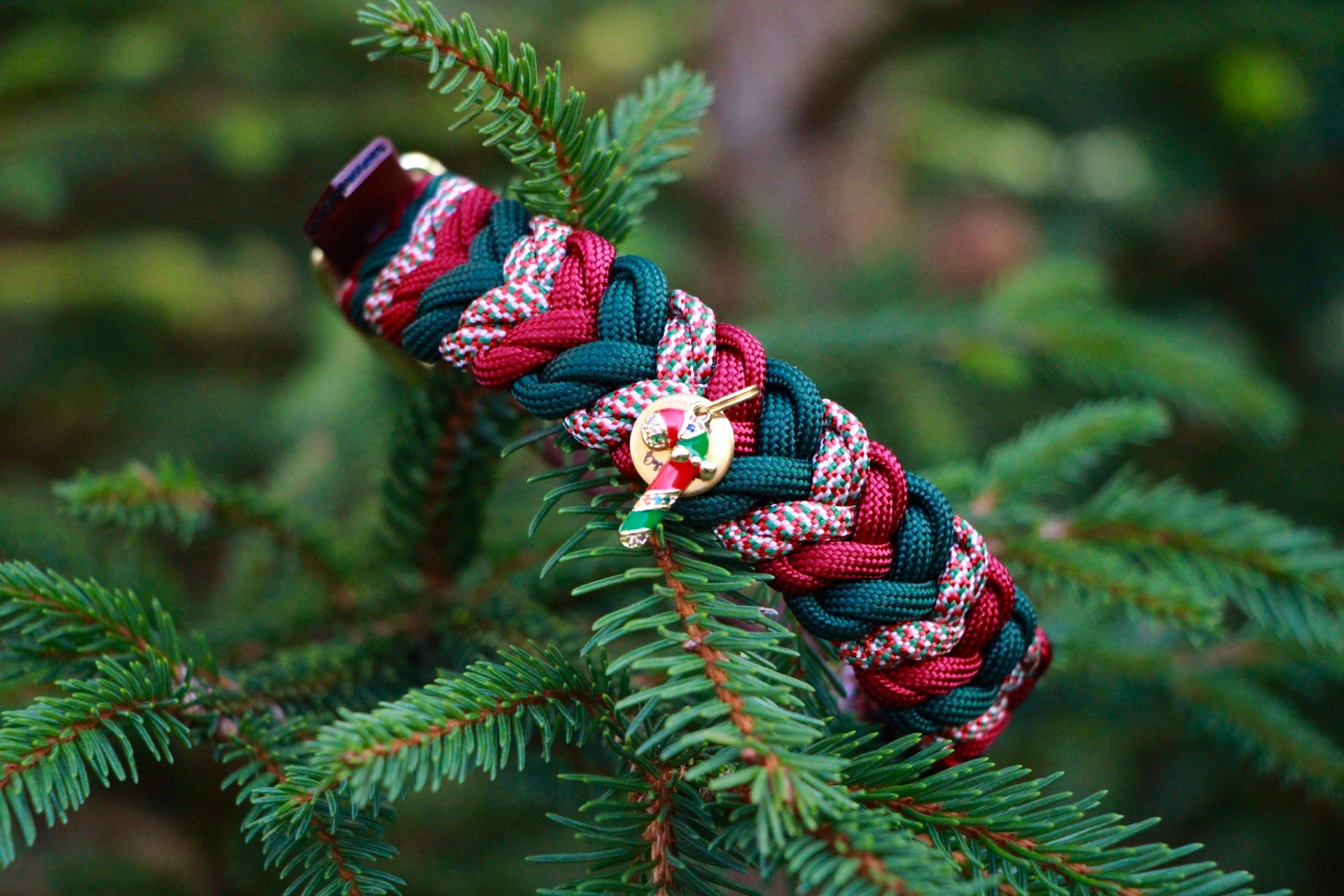 Paracord Halsband "Loop" für kleine Hunde selbst gestalten