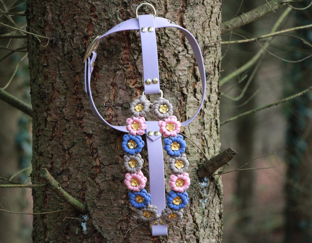 Hundegeschirr mit Blumen selbst gestalten