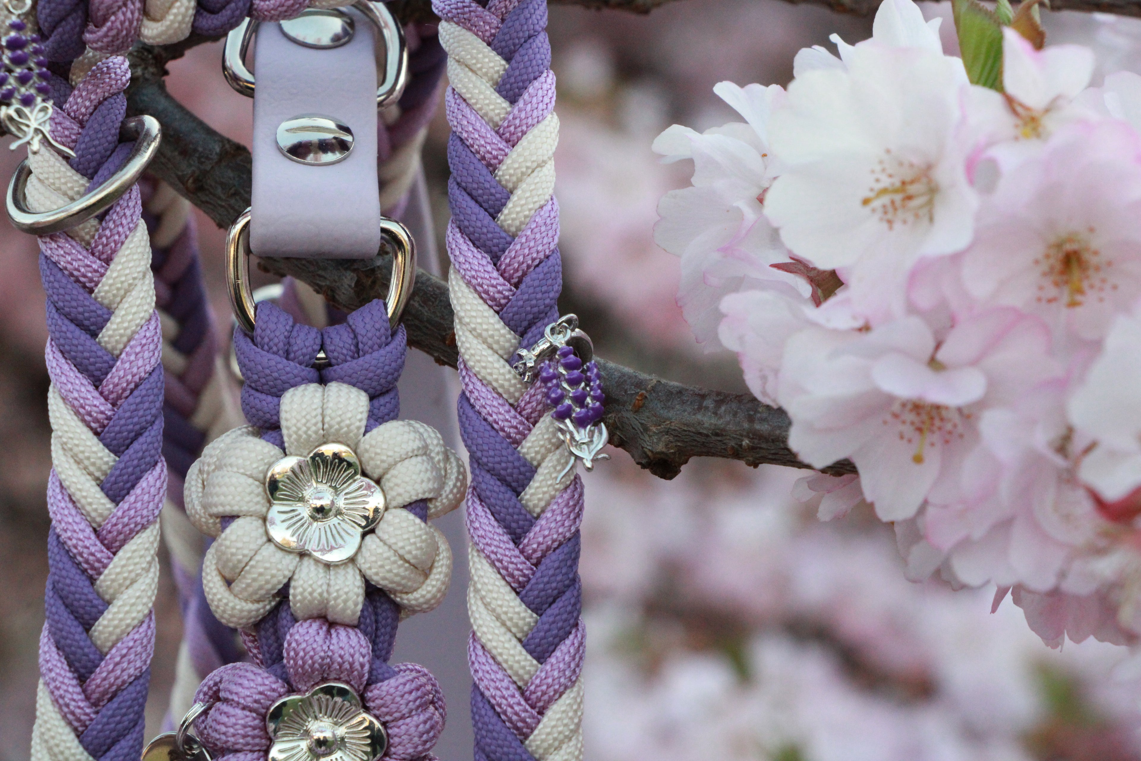 Set aus geflochtenem Halsband & Blumenleine "Lavendel Dream" personalisierbar