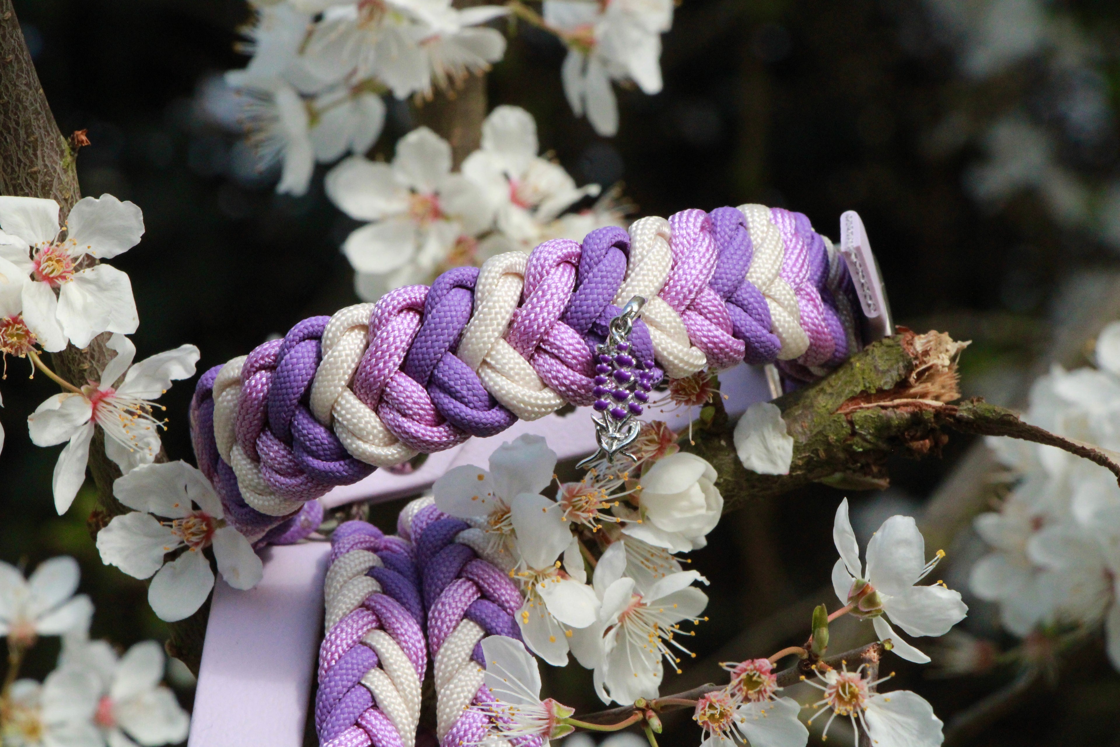 Set aus geflochtenem Halsband & Blumenleine "Lavendel Dream" personalisierbar