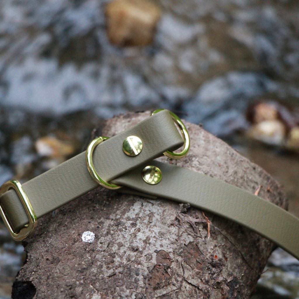BioThane ® Zugstopp Halsband