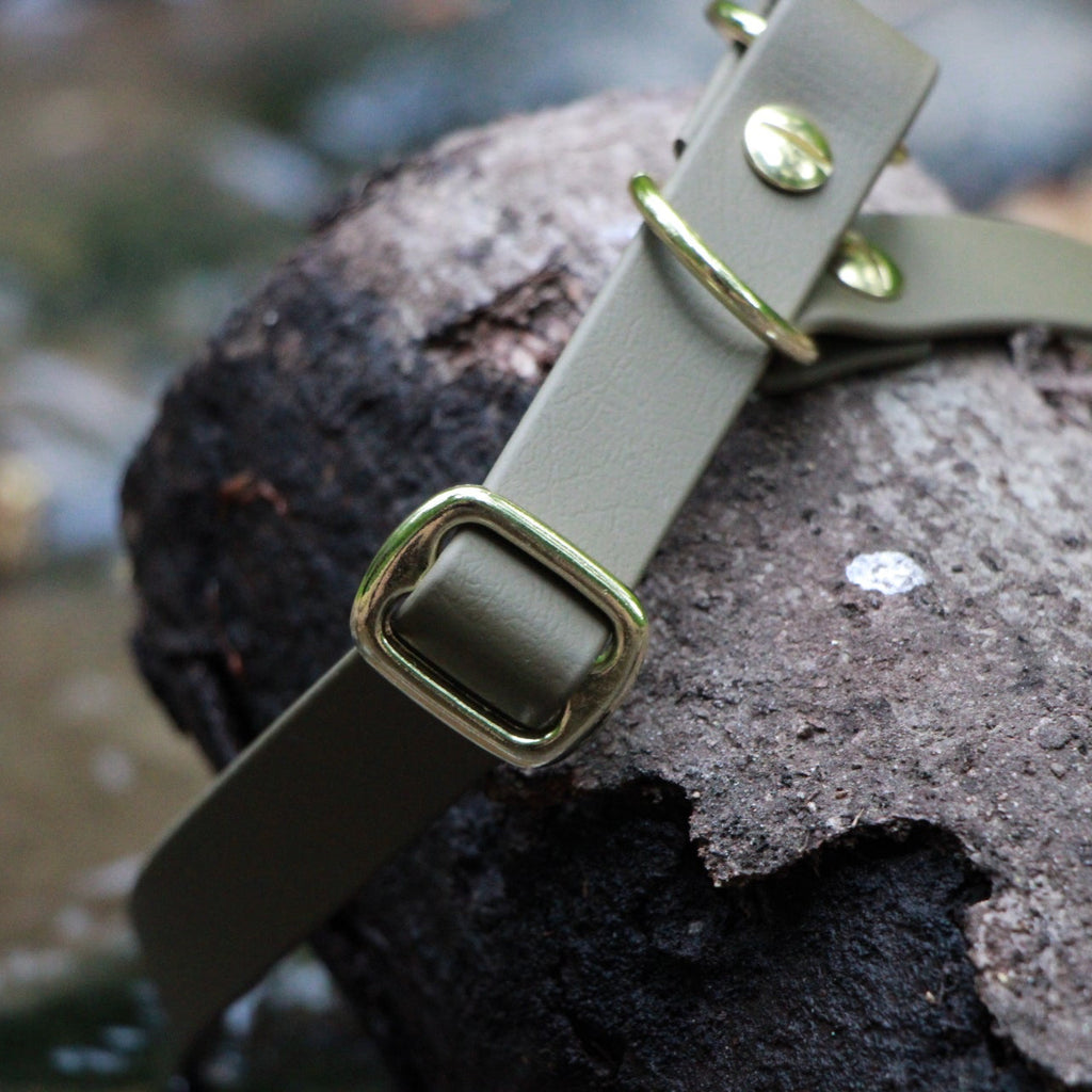 BioThane ® Zugstopp Halsband