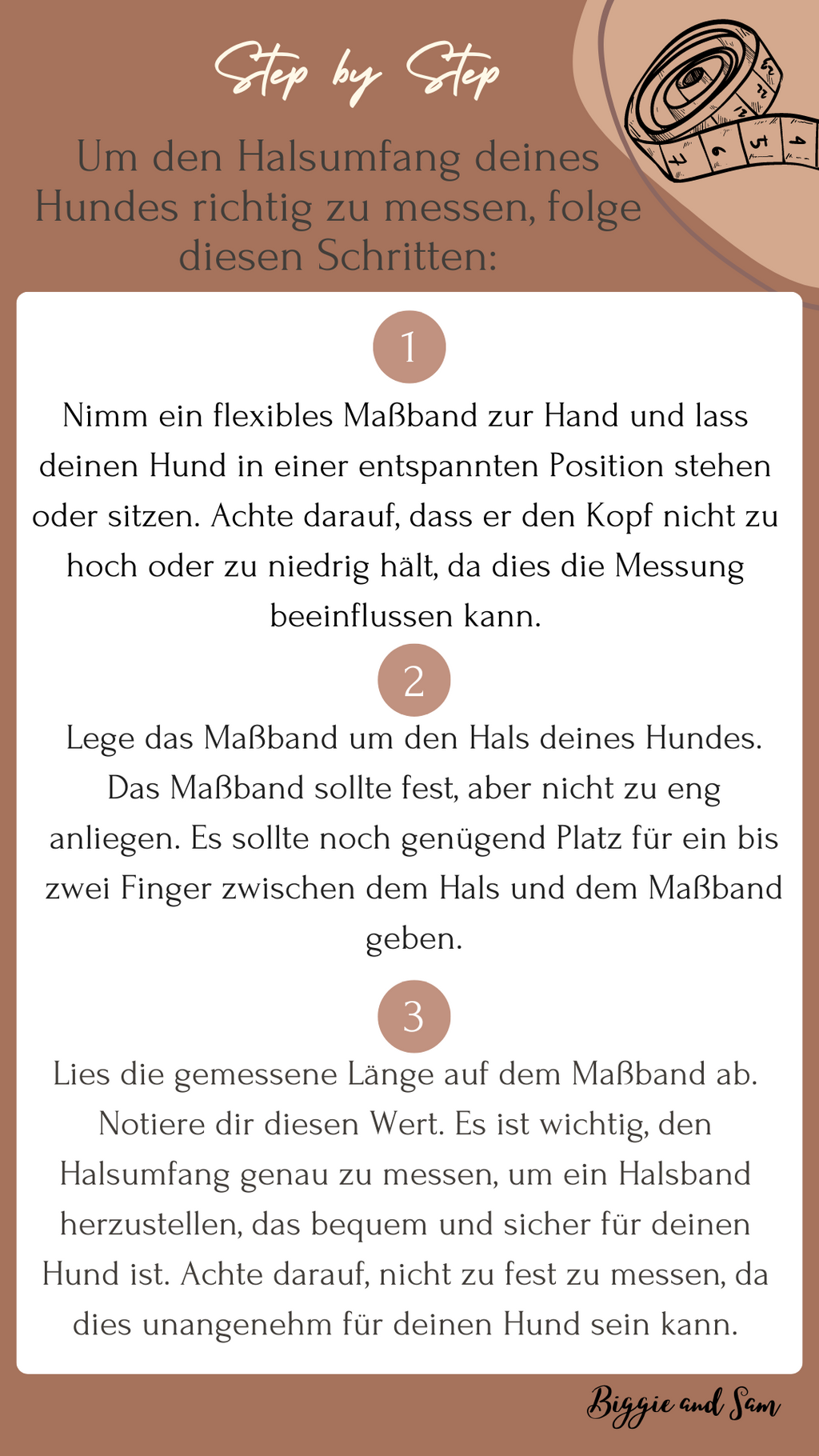 Frühlingsbox – Hunde-Set mit Halsband, Leine & Beschäftigung | Limited Edition