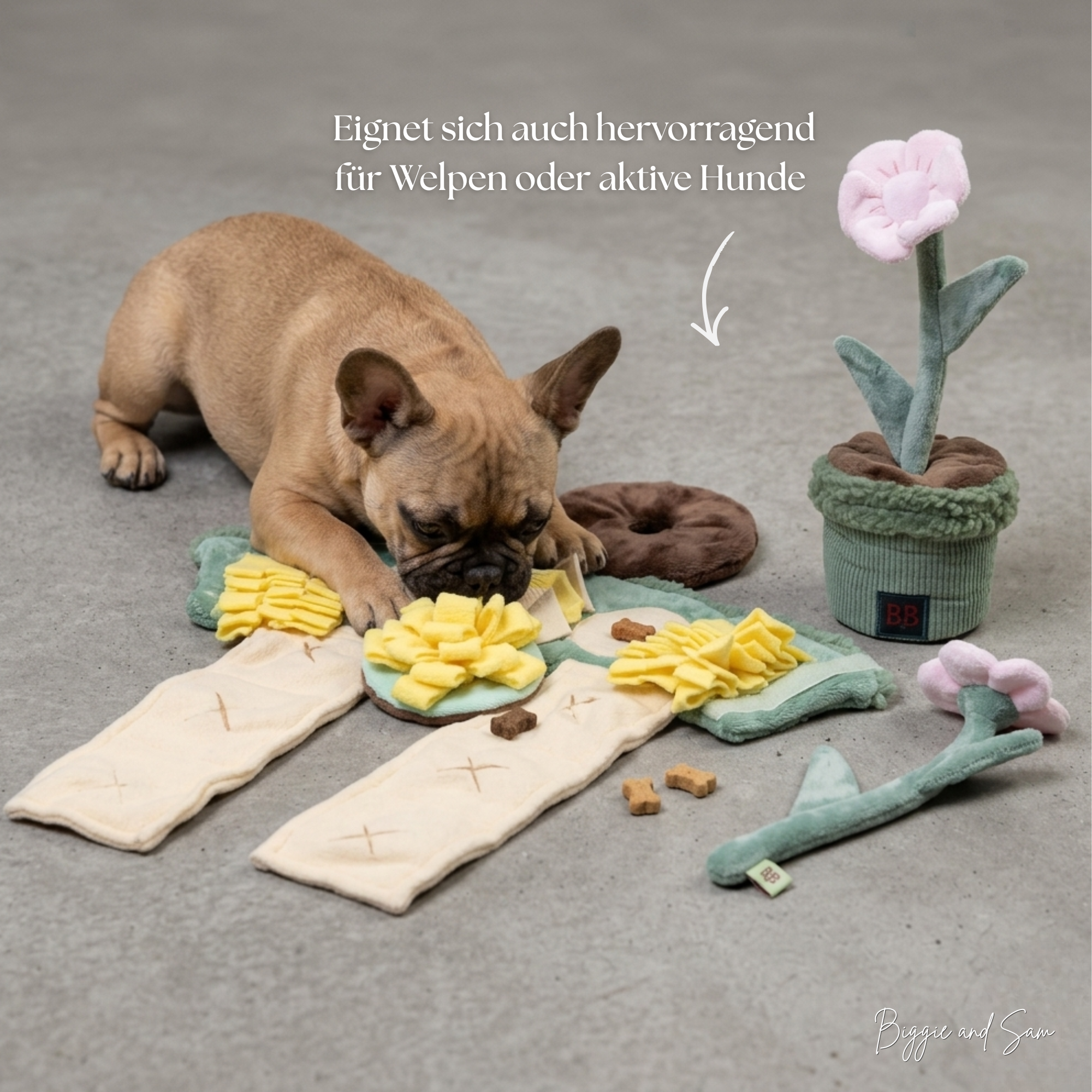 Frühlingsbox – Hunde-Set mit Halsband, Leine & Beschäftigung | Limited Edition