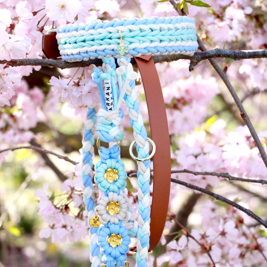 Set aus geflochtenem Halsband & Blumenleine "Polar Breeze" personalisierbar