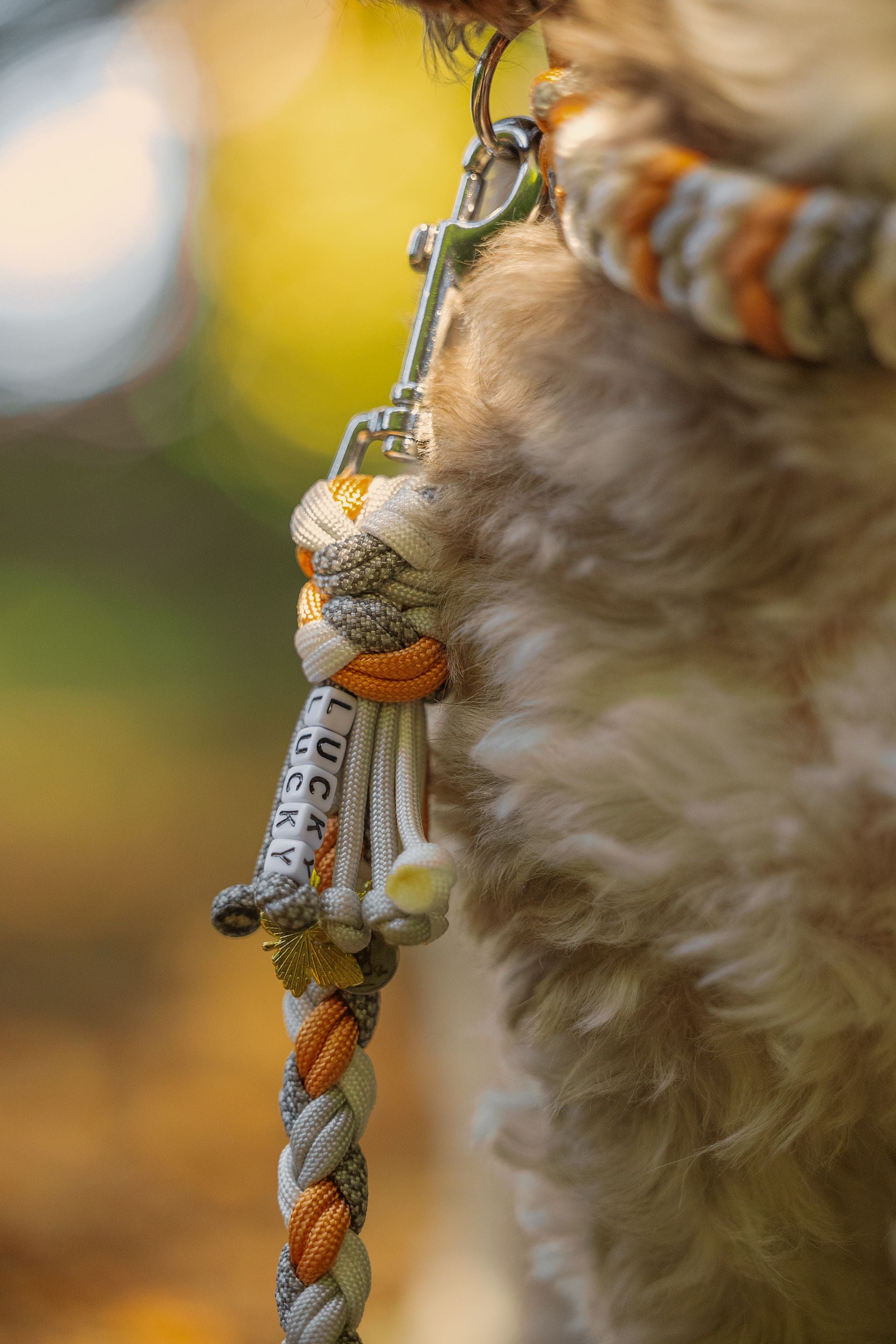Hundeleine aus Paracord selbst gestalten
