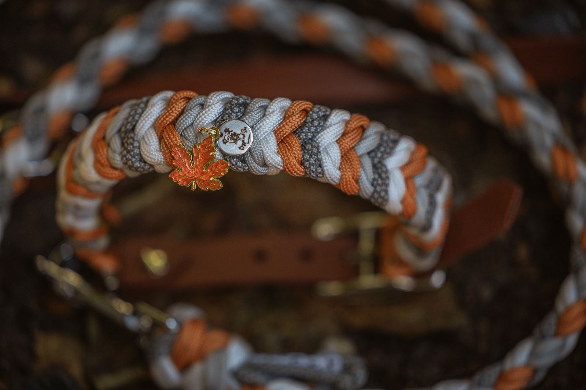 Paracord Halsband "Loop" für kleine Hunde selbst gestalten