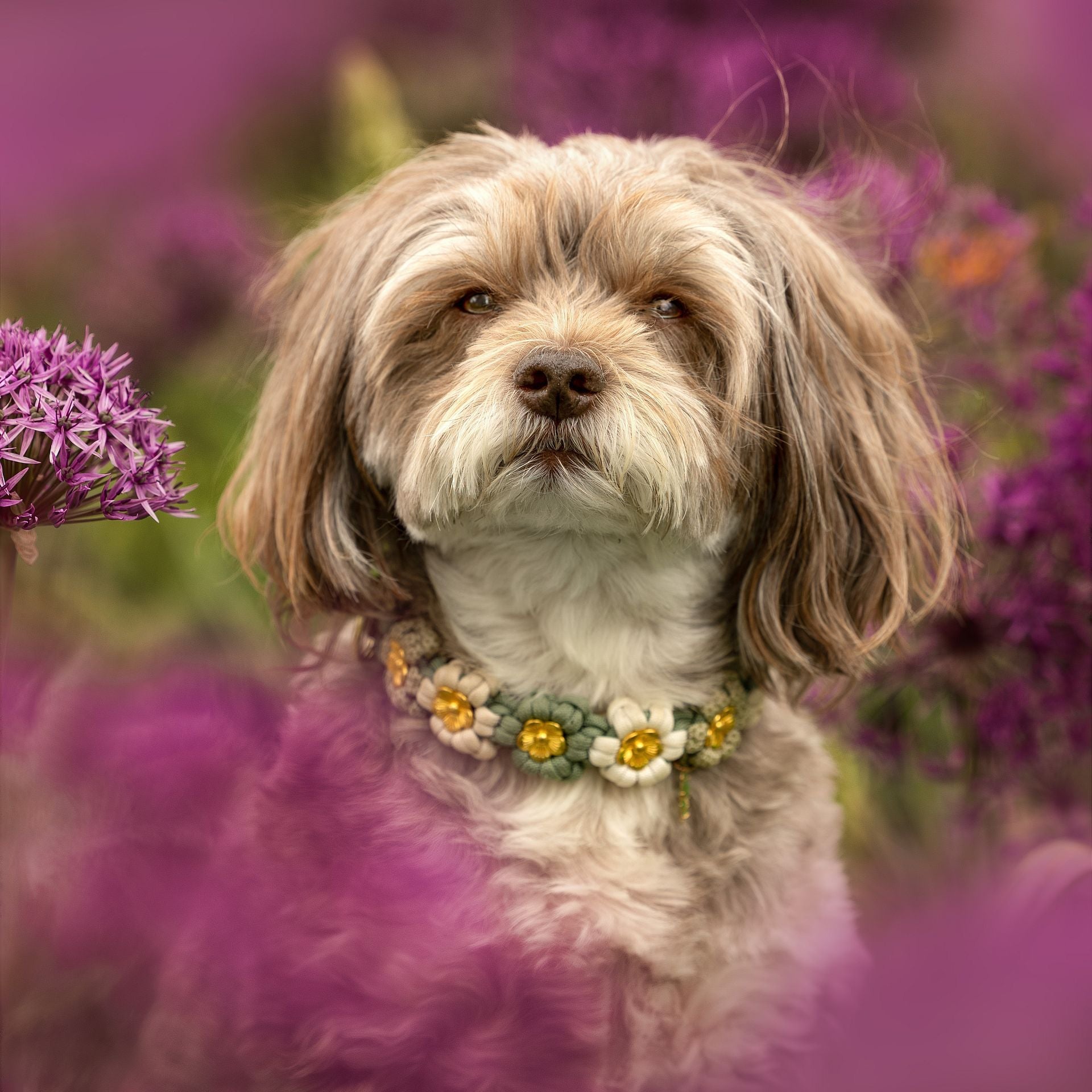 SOFORTKAUF Flower Halsband "Flora"